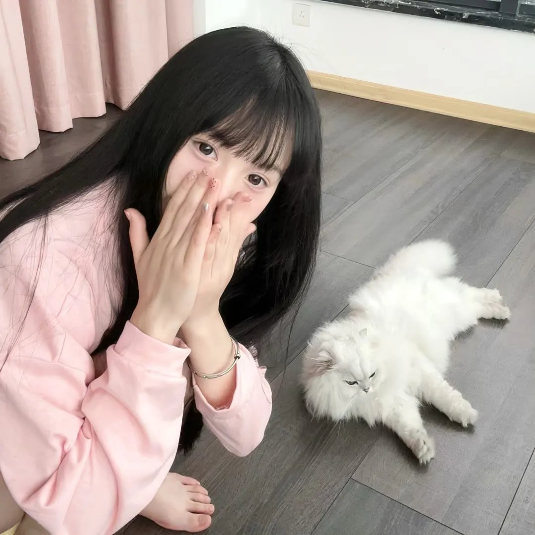 怪猫
